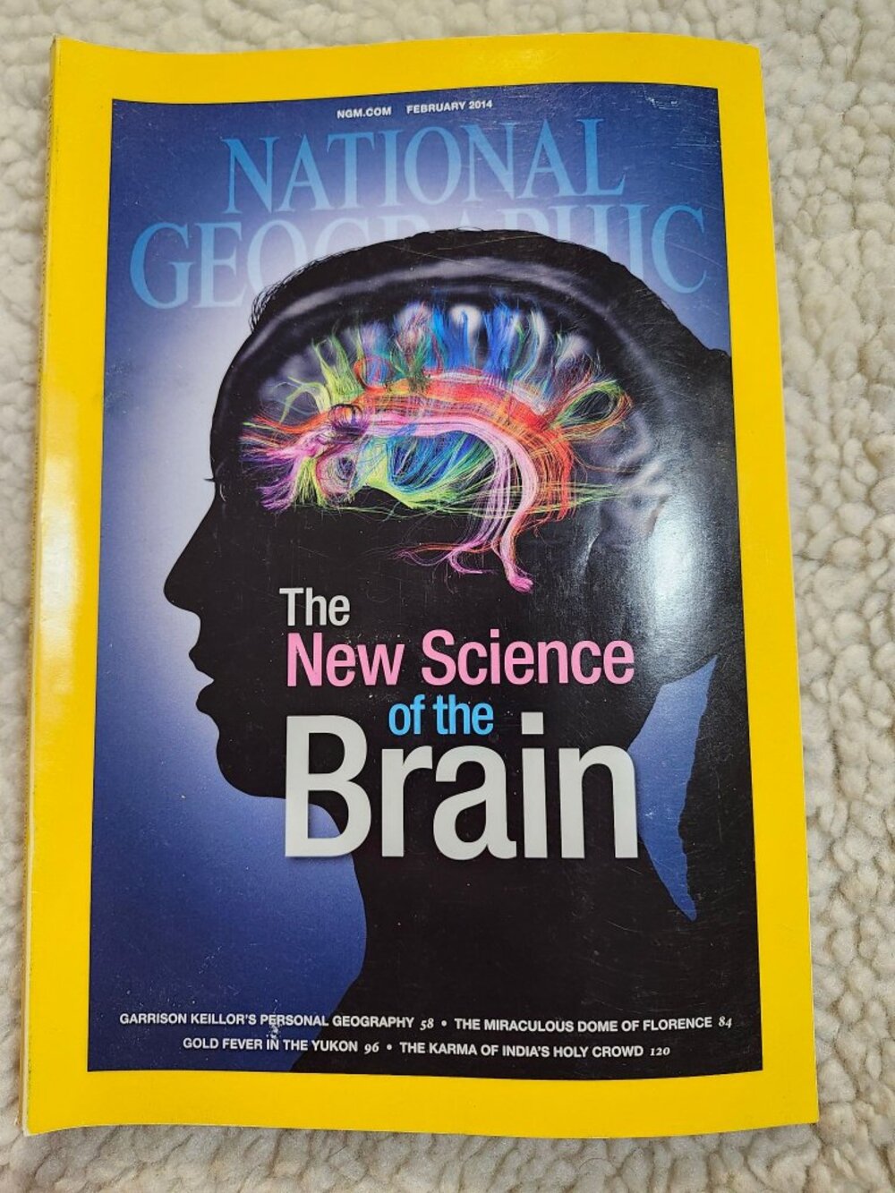 National Geographic Magazine Feb 2014 The New Science of the Brain Issue VG